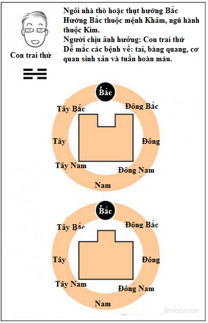 Nhà thò thụt, cả nhà mắc bệnh triền miên - 5