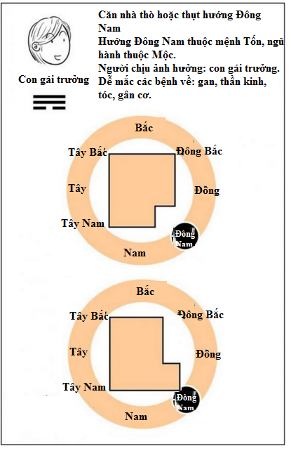 Nhà thò thụt, cả nhà mắc bệnh triền miên - 7